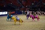 Quadrille - 00536
